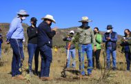 Llama Gobernador David Monreal a implementar una campaña permanente de reforestación en Zacatecas