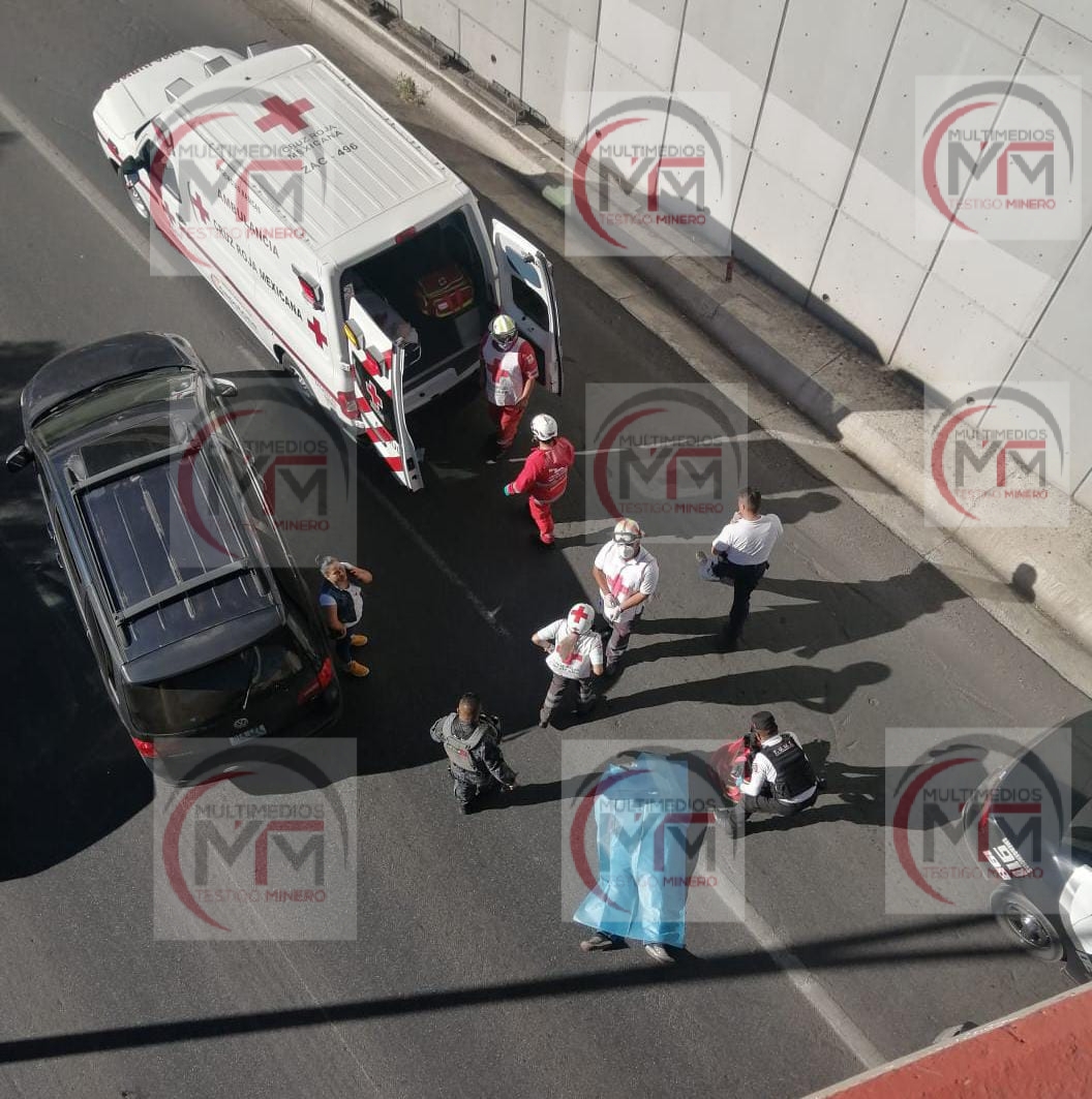 Se suicida tirándose de puente