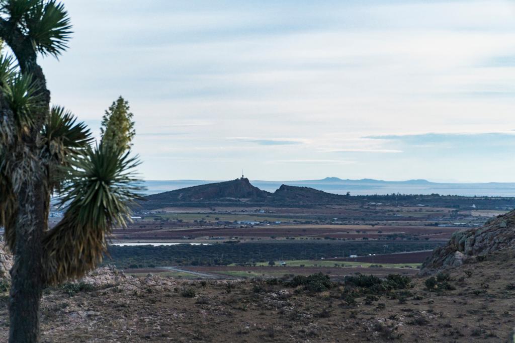 Peñoles y Fresnillo plc reiteran compromiso con el cuidado del medio ambiente