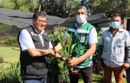 DONA MUNICIPIO DE FRESNILLO 650 ÁRBOLES A APTIV