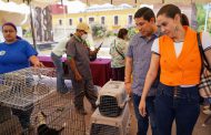 LOGRA CAPITAL DE LA TRANSFORMACIÓN LA ENTREGA DE 25 ANIMALES DOMÉSTICOS EN EL ADOPTA FEST