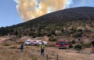 RECONOCE COMISIÓN NACIONAL FORESTAL A ELEMENTOS DE PROTECCIÓN CIVIL CAPITALINA