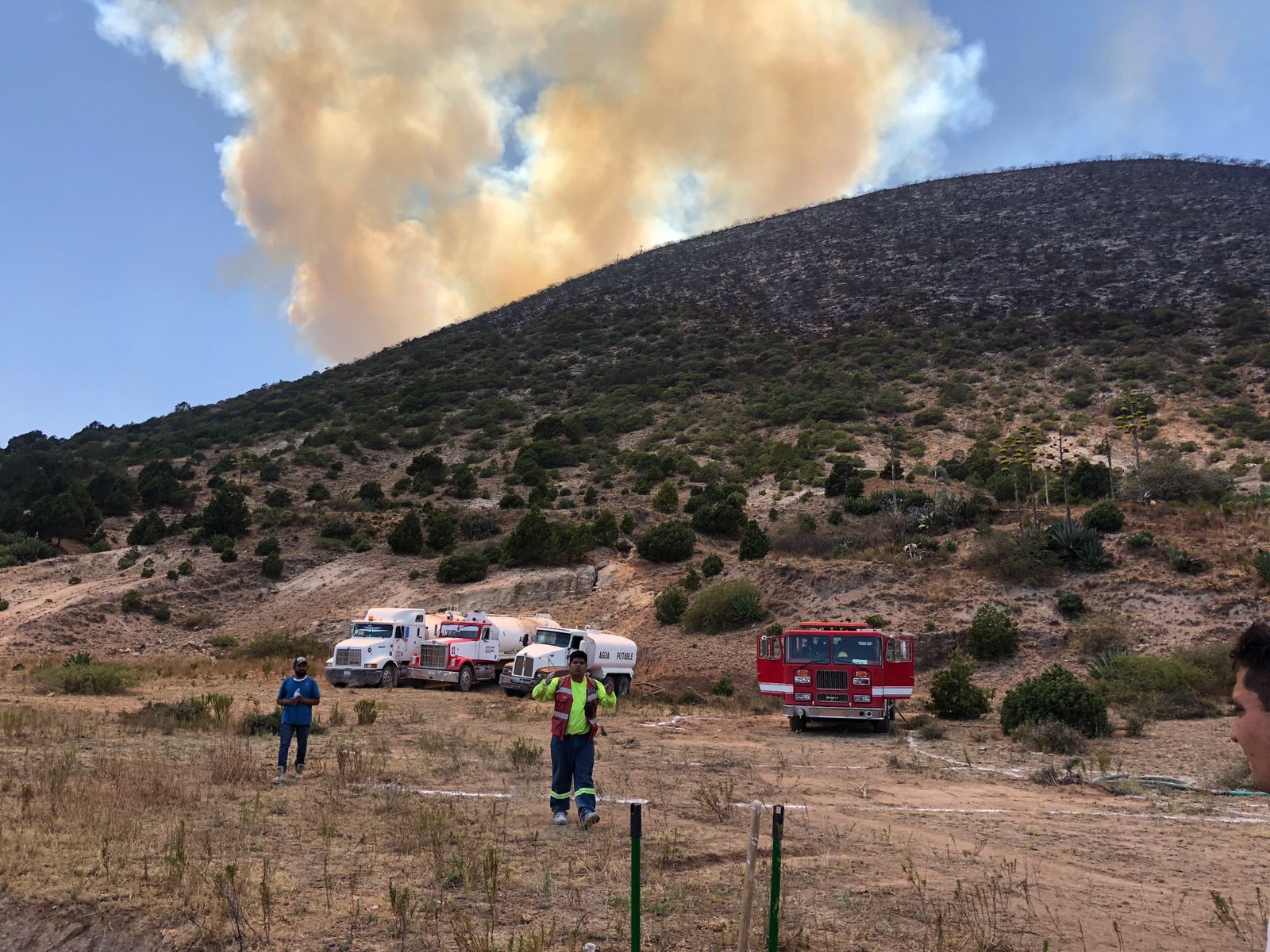 RECONOCE COMISIÓN NACIONAL FORESTAL A ELEMENTOS DE PROTECCIÓN CIVIL CAPITALINA