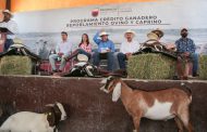 Gobernador David Monreal pone en marcha el programa Crédito Ganadero para el repoblamiento ovino y caprino de Zacatecas