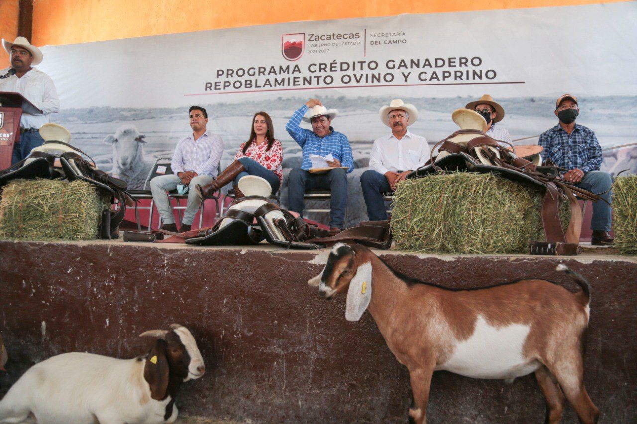 Gobernador David Monreal pone en marcha el programa Crédito Ganadero para el repoblamiento ovino y caprino de Zacatecas
