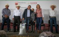 Gobernador David Monreal pone en marcha Programas de Semilla Certificada y Mejoramiento de Semilla de Frijol para Zacatecas