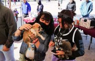 REALIZAN CON GRAN ÉXITO EL PRIMER ADOPTA FEST DEL AÑO