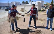 Promueve Julio César Chávez que sea Guadalupe, una ciudad limpia