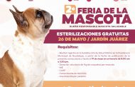 Convoca Ciudad de Guadalupe a  Segunda Feria de la Mascota