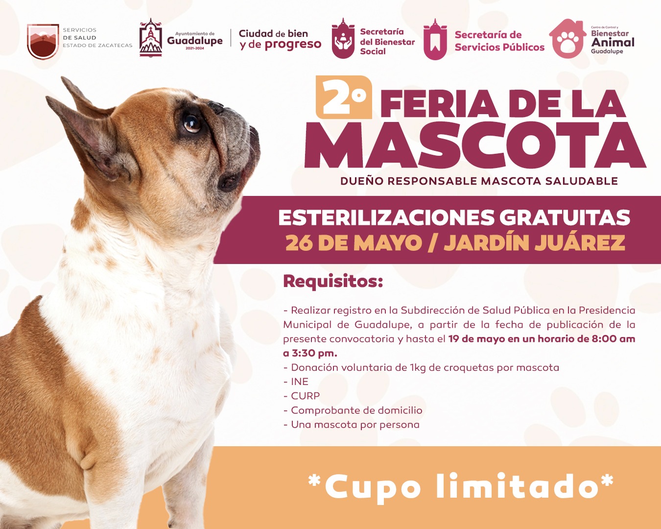 Convoca Ciudad de Guadalupe a  Segunda Feria de la Mascota