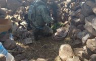 Fuerzas de Seguridad de Zacatecas desmantelan en Tepetongo campamento y parapeto utilizados por un grupo delincuencial